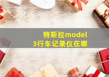 特斯拉model 3行车记录仪在哪